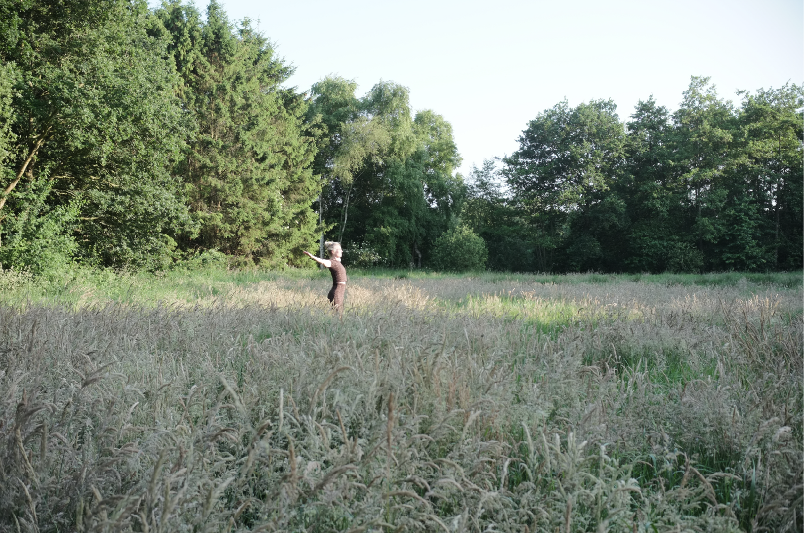 Yoga in het Bos