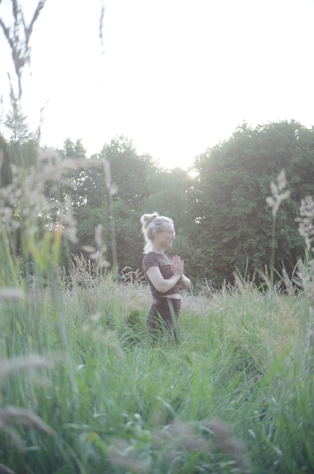 Yoga in het Bos